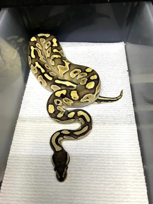 Petfection Exotic Pet Specialist Picture 10