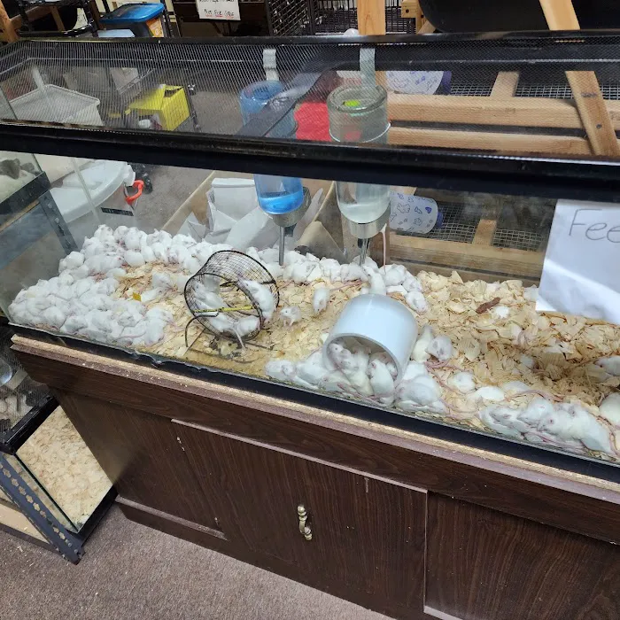 Petfection Exotic Pet Specialist Picture 5