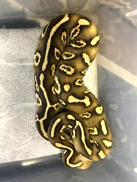 Petfection Exotic Pet Specialist Picture 7