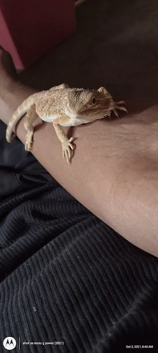 Petfection Exotic Pet Specialist Picture 1