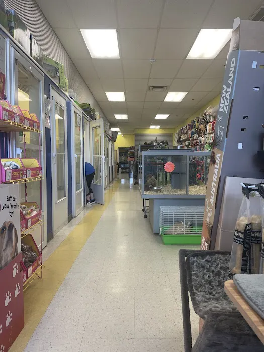 Yuppy Puppy Pet Shop Picture 8
