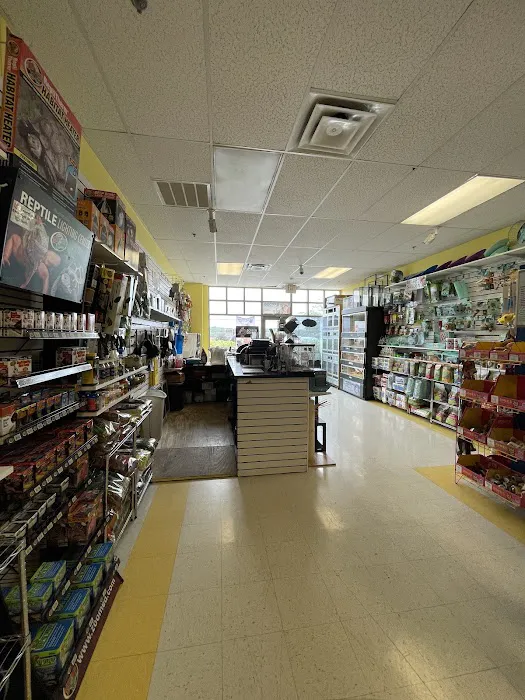 Yuppy Puppy Pet Shop Picture 7