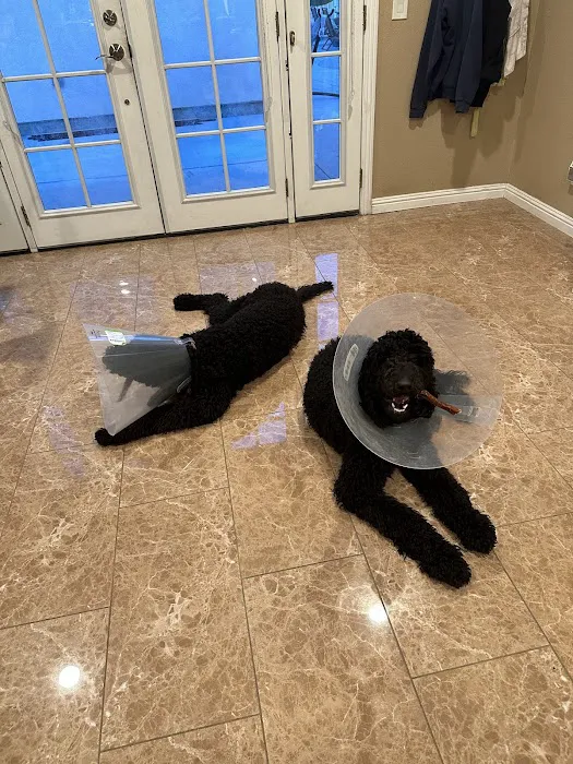 Priceless Pets Rescue- Vet Clinic Picture 1