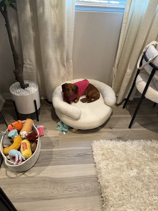 Priceless Pets Rescue- Vet Clinic Picture 8