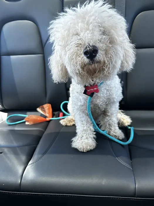 Priceless Pets Rescue- Vet Clinic Picture 3