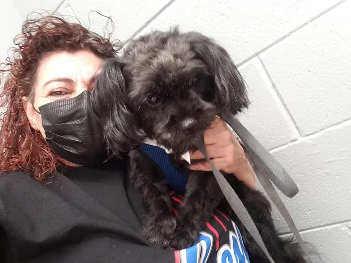 Elwood Animal Clinic Picture 4