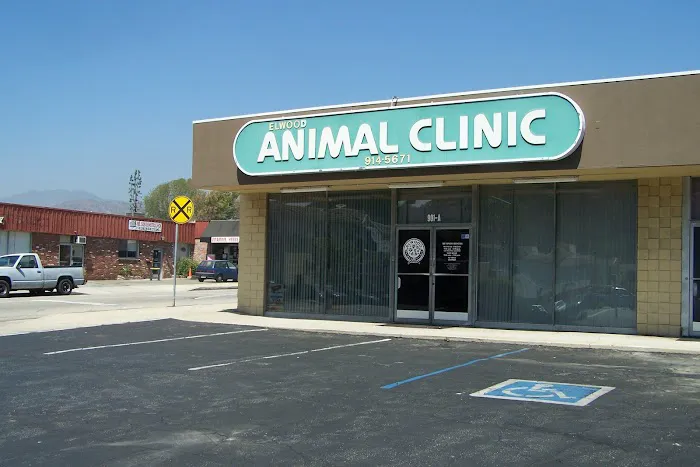 Elwood Animal Clinic Picture 5