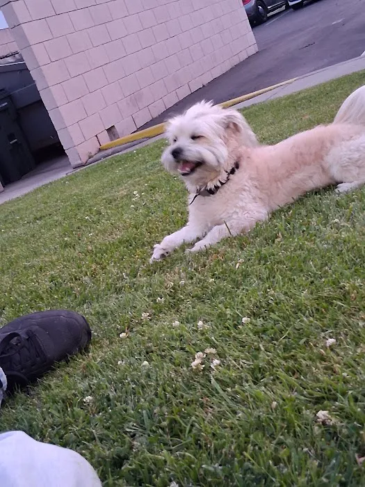South Glendora Animal Hospital Picture 5