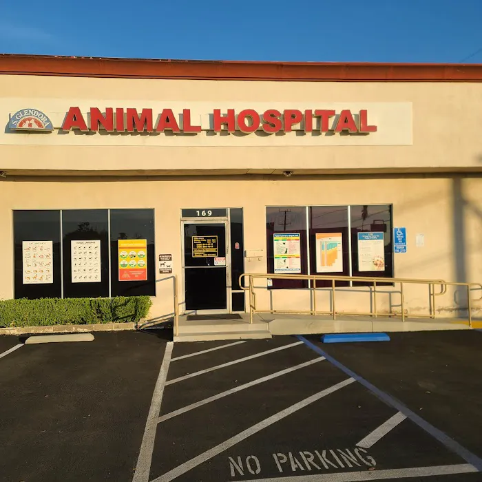 South Glendora Animal Hospital Picture 10