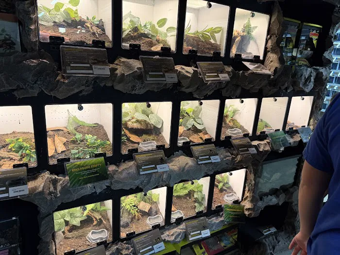 Critters, Reptiles & Exotics Picture 5