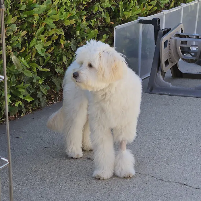 Emergency Pet Hospital of Glendora Picture 1