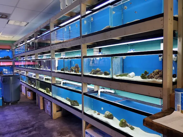 Fintastic Aquariums of Frederick Picture 3