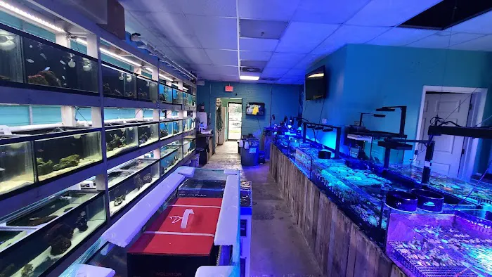Fintastic Aquariums of Frederick Picture 1