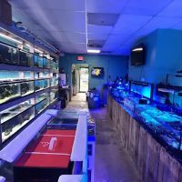 Fintastic Aquariums of Frederick ico