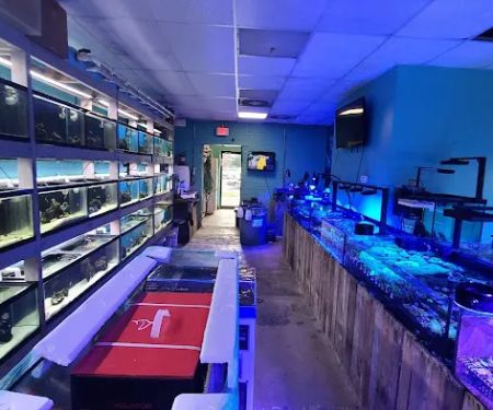 Fintastic Aquariums of Frederick