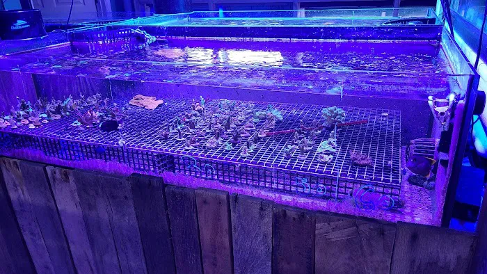 Fintastic Aquariums of Frederick Picture 2