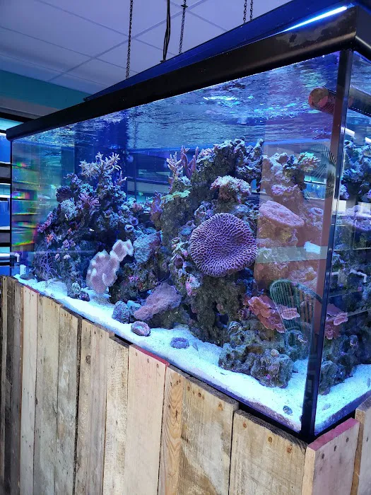 Fintastic Aquariums of Frederick Picture 10