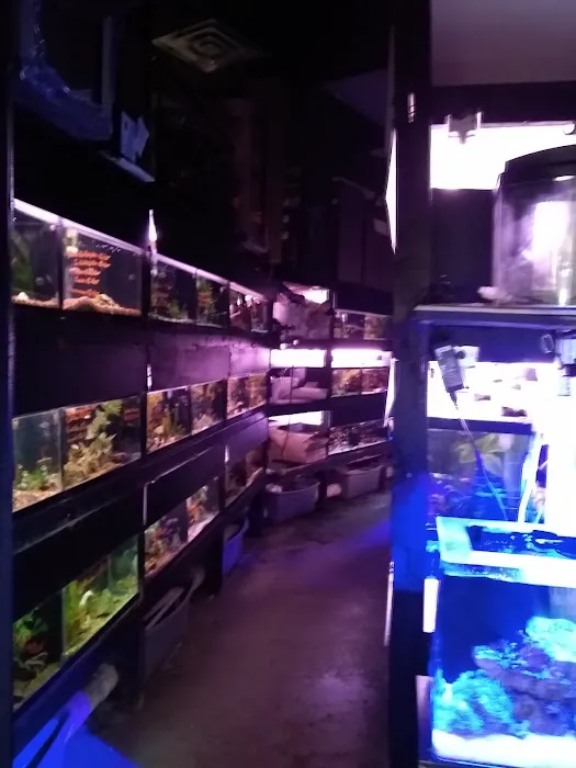 Rick's Fish & Pet Supply Picture 1