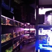 Rick's Fish & Pet Supply ico