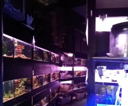 Rick's Fish & Pet Supply