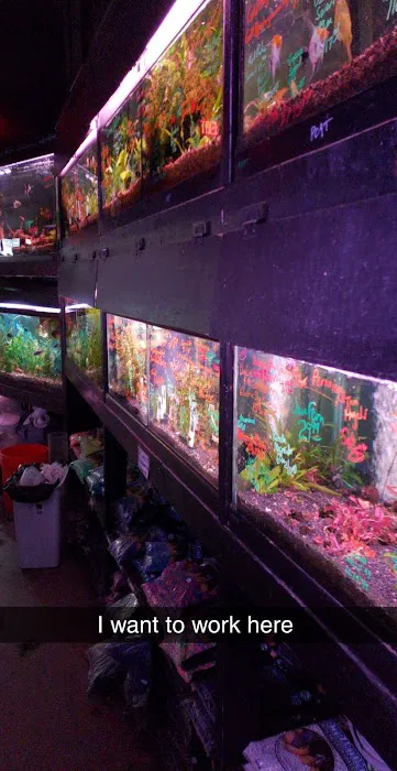 Rick's Fish & Pet Supply Picture 6