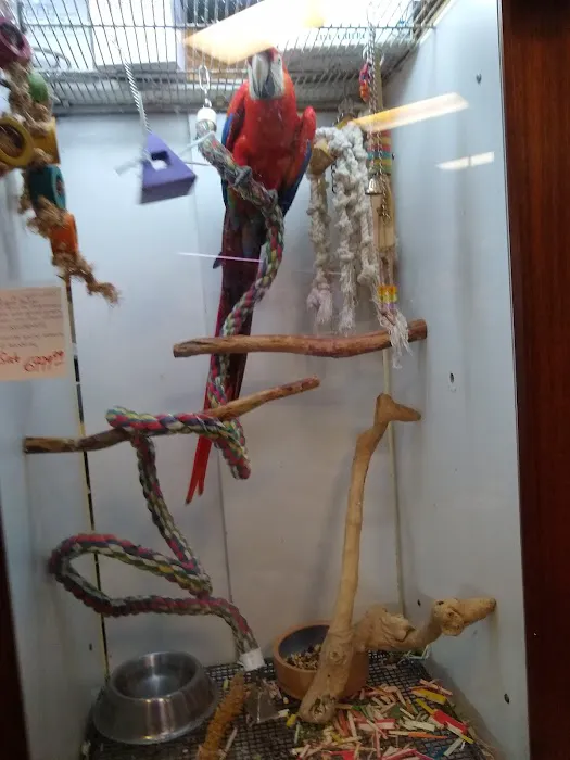 Rick's Fish & Pet Supply Picture 2