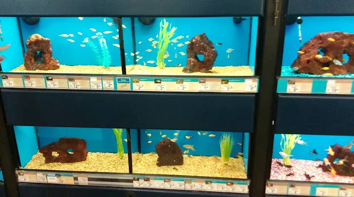 Petco Picture 4