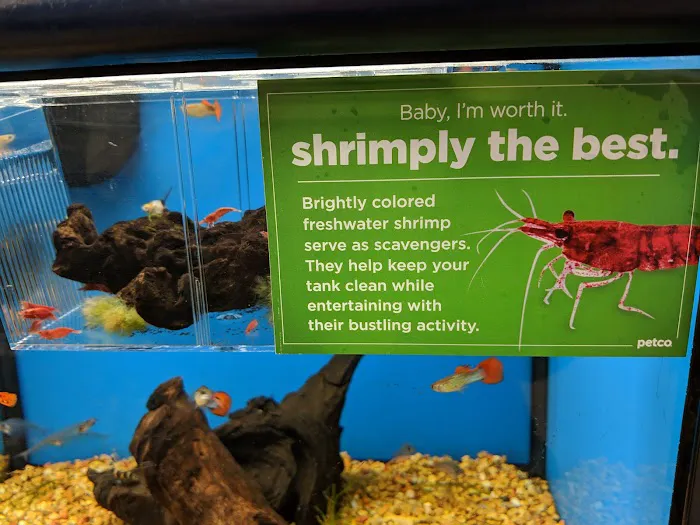 Petco Picture 10