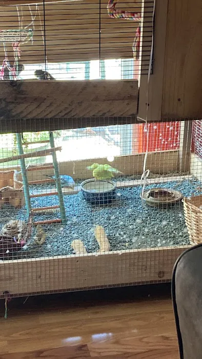 Petco Picture 2