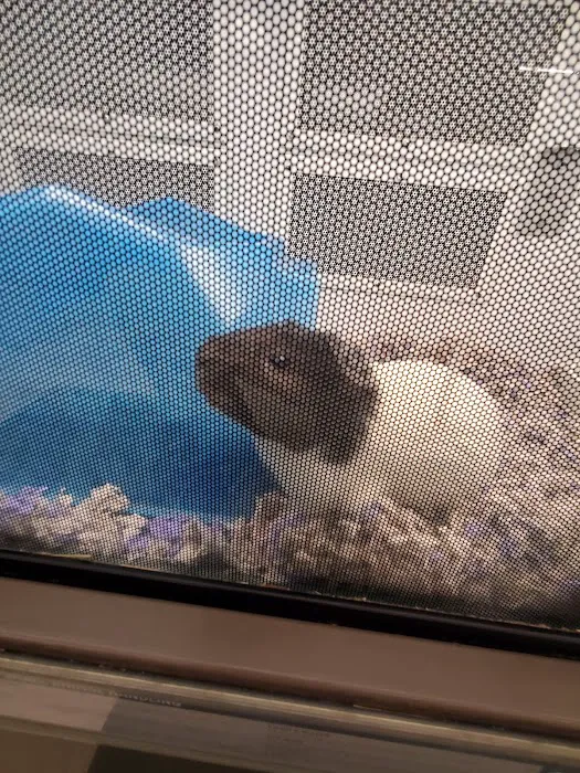 Petco Picture 9