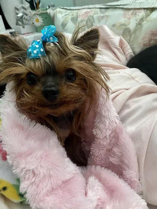 Foothill Animal Hospital Best Upland Vet Picture 4