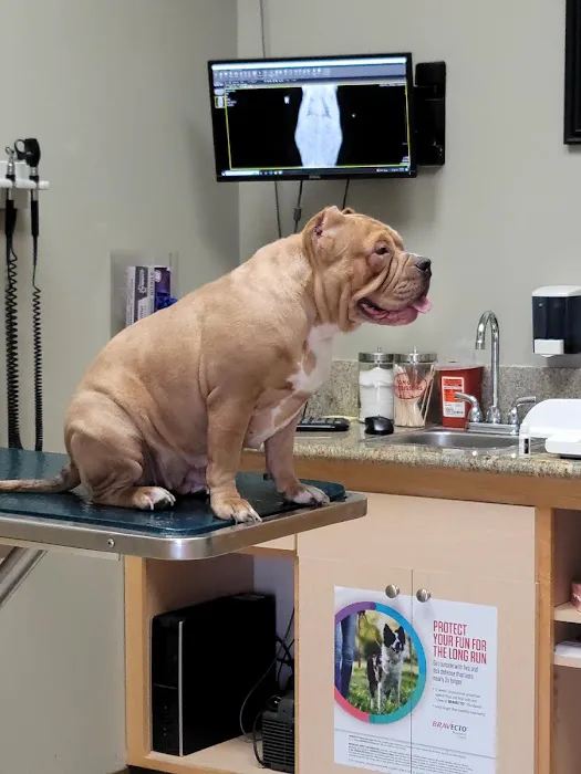 Foothill Animal Hospital Best Upland Vet Picture 1