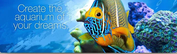 Aquatic Creations Ltd Picture 10