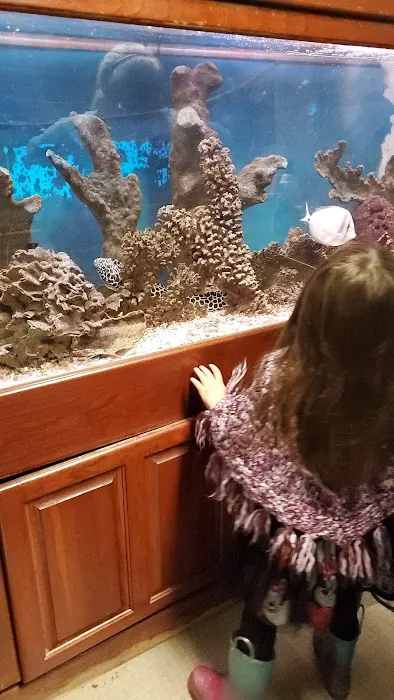 Aquatic Creations Ltd Picture 4