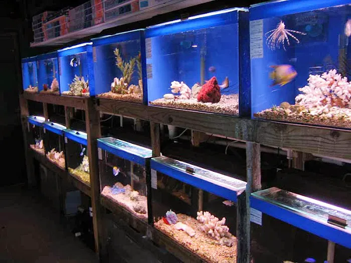 Aquatic Creations Ltd Picture 1