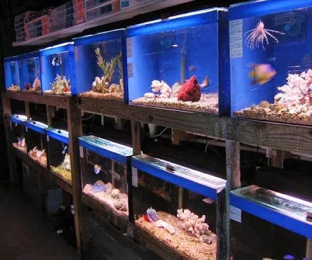 Aquatic Creations Ltd