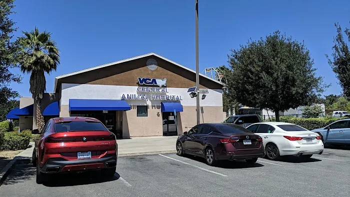 VCA Central Animal Hospital Picture 2