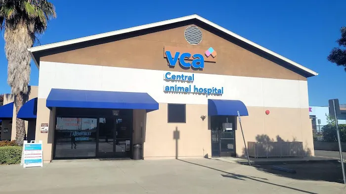 VCA Central Animal Hospital Picture 1