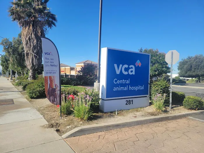 VCA Central Animal Hospital Picture 8