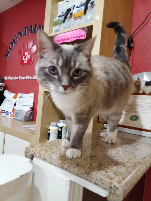 Mountain Avenue Animal Hospital Picture 4