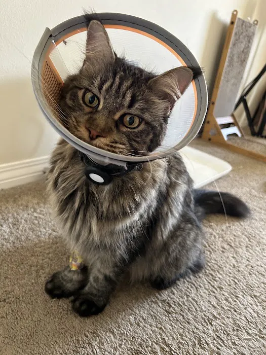 Mountain Avenue Animal Hospital Picture 7