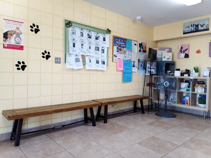 Mountain Avenue Animal Hospital Picture 2