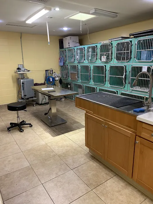 Mountain Avenue Animal Hospital Picture 10