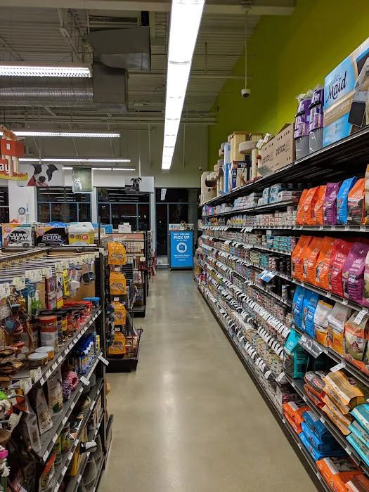 Unleashed by Petco Picture 6