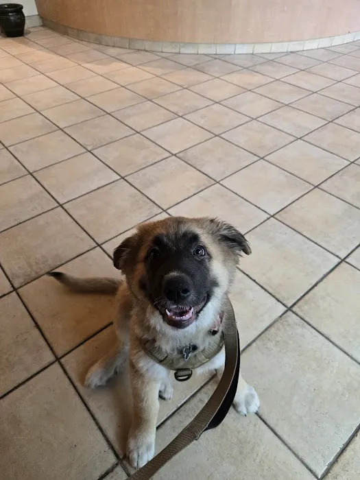 Claremont Veterinary Hospital Picture 1