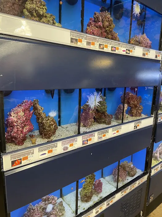 Petco Picture 10