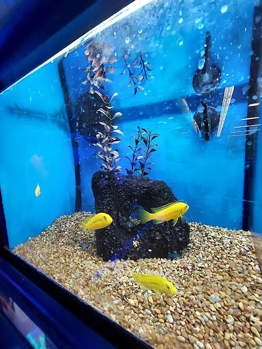 Petco Picture 8