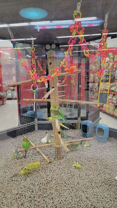 Petco Picture 5