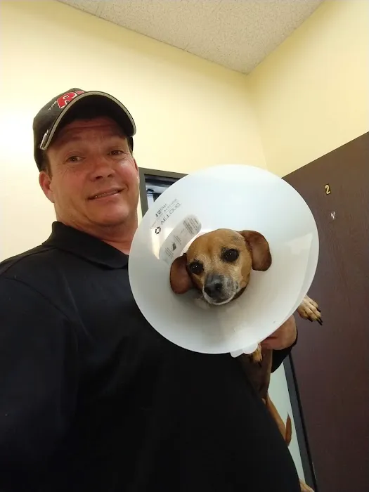 Alleve Animal Hospital Picture 2