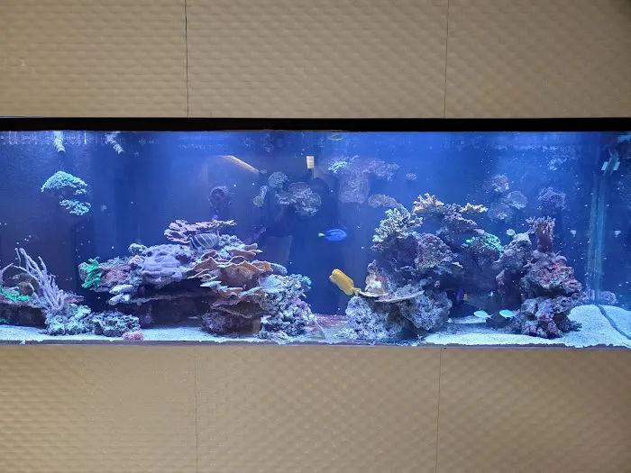 Tanks for your Business Picture 5